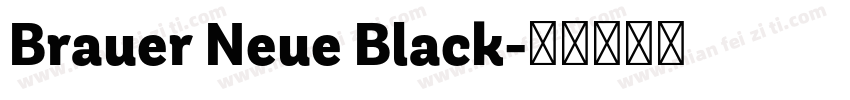 Brauer Neue Black字体转换